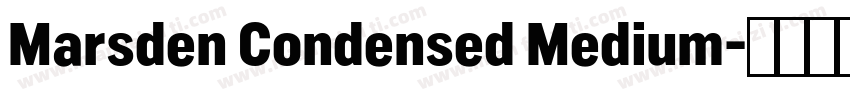 Marsden Condensed Medium字体转换